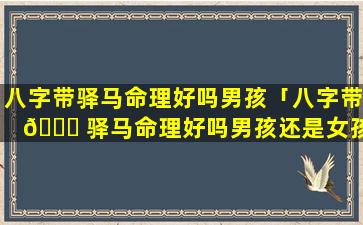 八字带驿马命理好吗男孩「八字带 🐎 驿马命理好吗男孩还是女孩 🍀 」